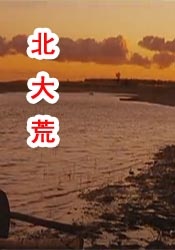 在线看一级片